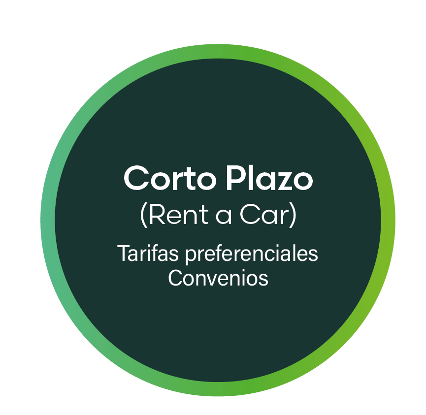 servicios a corto plazo